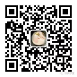 2017’麻豆网